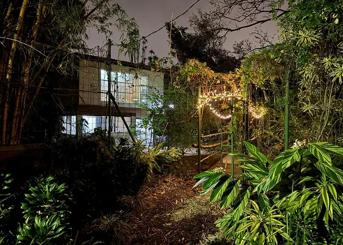 Rainforest Cabin In Escazu