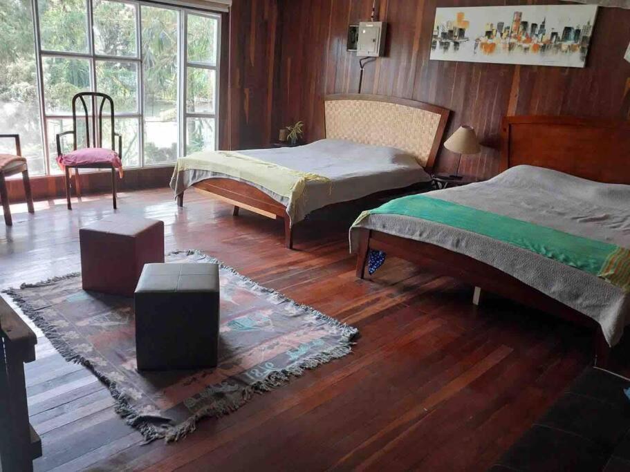 Apartment Rainforest In