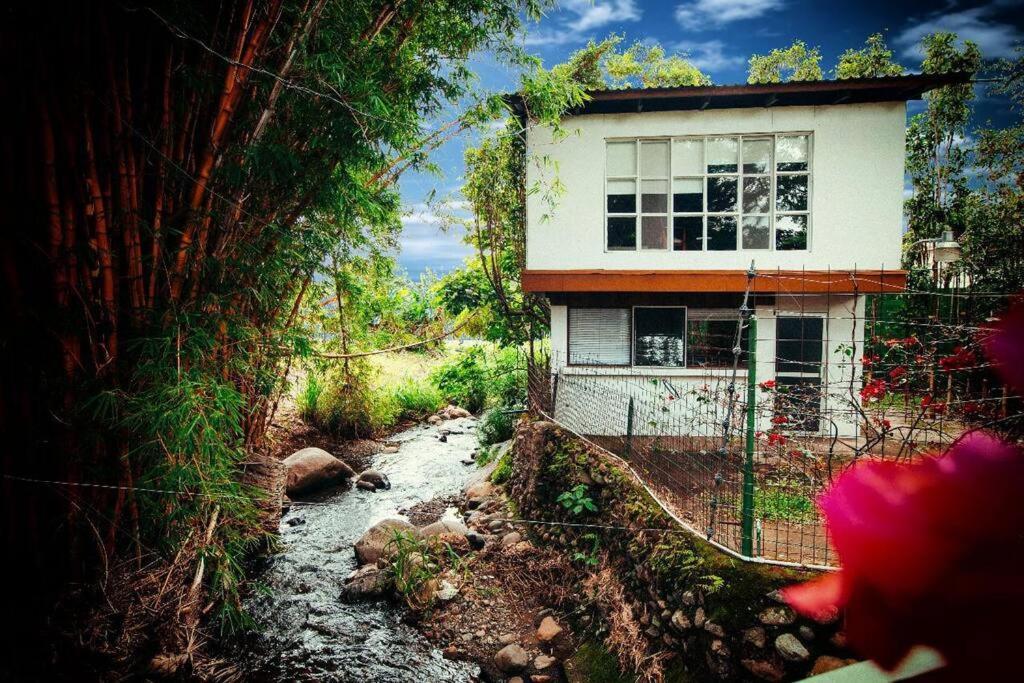 Apartment Rainforest In Escazu