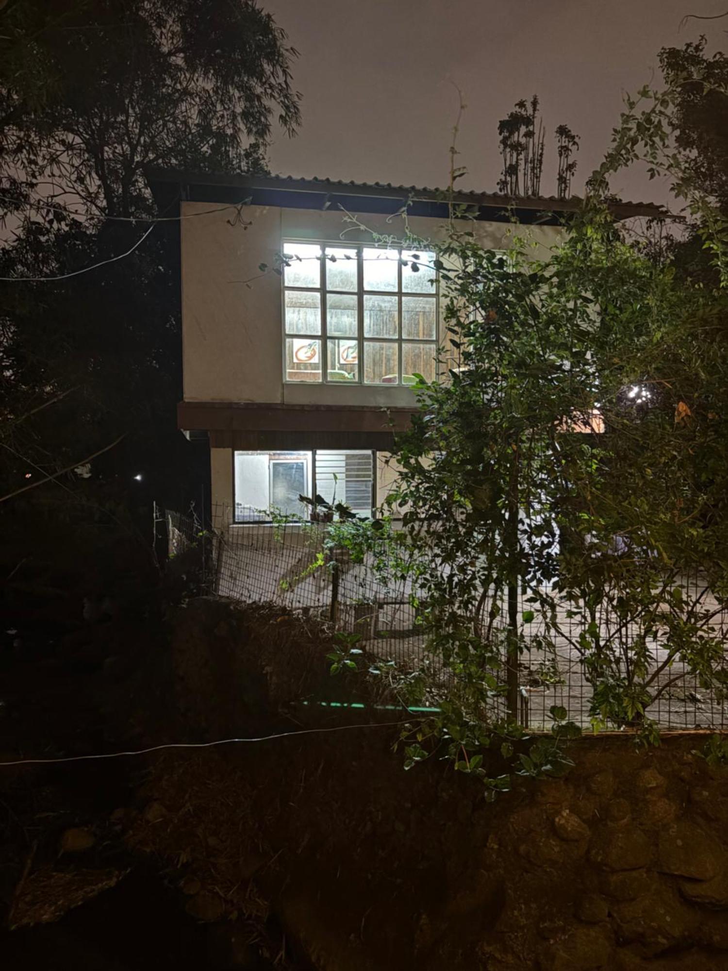 Rainforest In Apartment Escazu